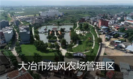 大冶市东风农场管理区