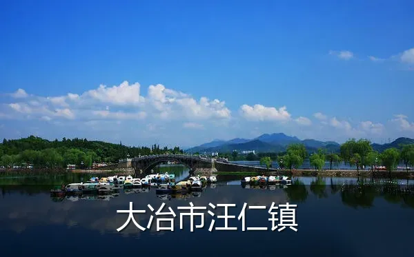 大冶市汪仁镇