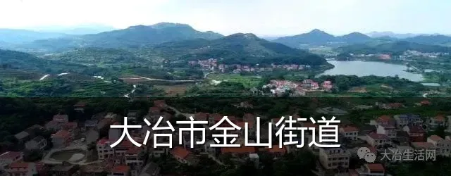 大冶市金山街道